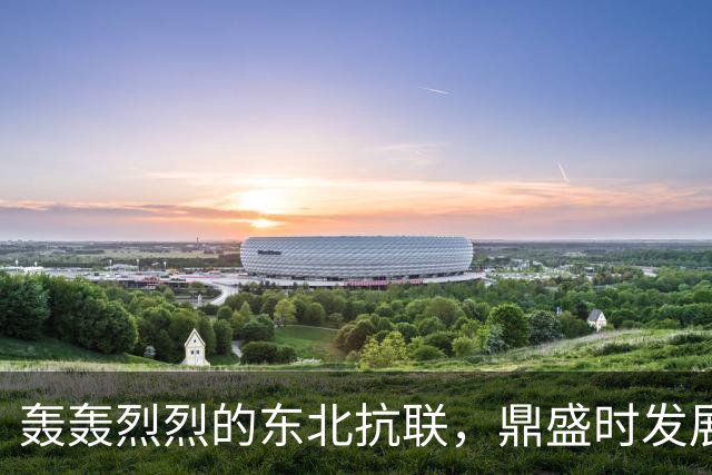 轰轰烈烈的东北抗联，鼎盛时发展到3万人，为什么到1940年就失败了？